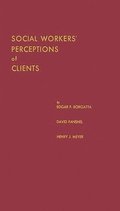 Social Workers' Perceptions of Clients