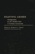 Fighting Armies: Antagonists in the Middle East