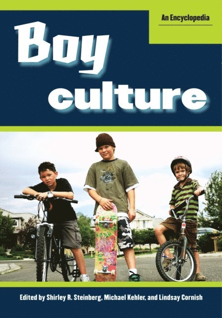 Shirley R. Steinberg, Michael Kehler, Lindsay Cornish - Boy Culture, E-bok