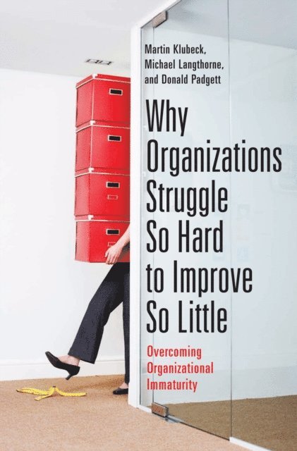 Martin Klubeck, Michael Langthorne, Donald Padgett - Why Organizations Struggle So Hard to Improve So Little, E-bok