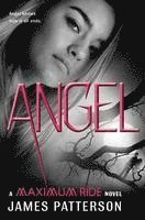 James Patterson - Angel, Inbunden