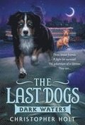 Last Dogs: Dark Waters