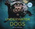 Underwater Dogs