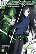 Accel World, Vol. 2 (Novel)