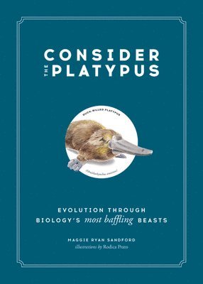Consider the Platypus av Maggie Ryan Sandford