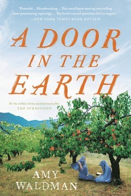 Amy Waldman - A Door in the Earth, Häftad