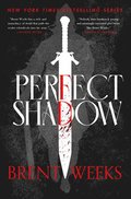 Perfect Shadow