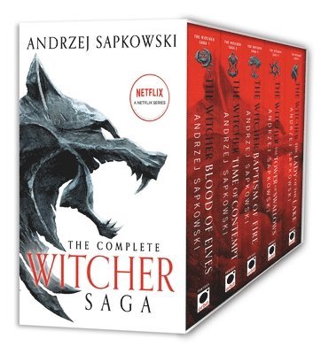 The Witcher Boxed Set: Blood of Elves, the Time of Contempt, Baptism of Fire, the Tower of Swallows, the Lady of the Lake av Andrzej Sapkowski