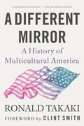 A Different Mirror