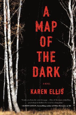 Karen Ellis - A Map of the Dark, Häftad