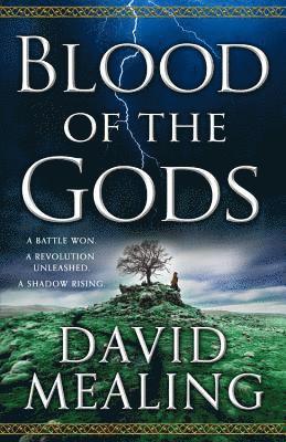 David Mealing - Blood of the Gods, Häftad