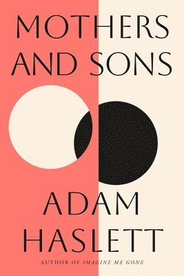 Adam Haslett - Mothers and Sons, Häftad