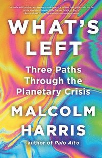 What's Left: Three Paths Through the Planetary Crisis
