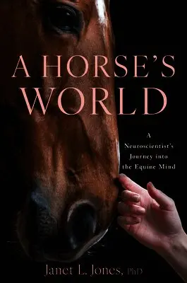 Horse's World