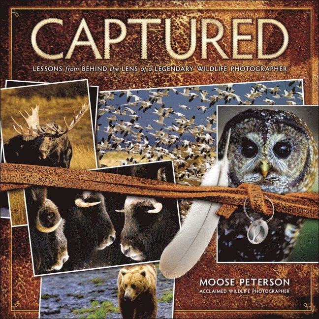 Peterson, Moose - Captured, Häftad