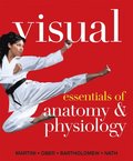 Visual Essentials of Anatomy & Physiology