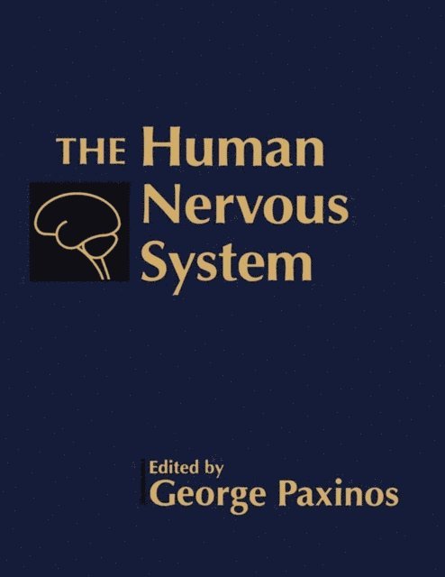 Human Nervous System