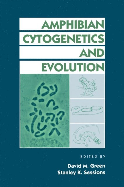 Stanley K. Sessions, David M. Green - Amphibian Cytogenetics and Evolution, E-bok
