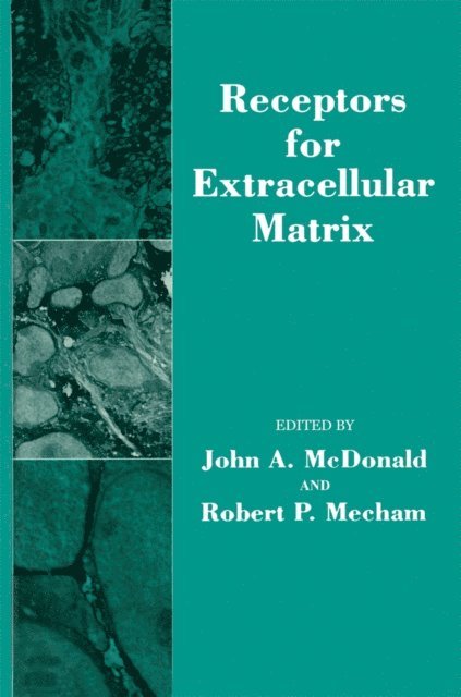 John Mcdonald - Receptors For Extracellular Matrix, E-bok