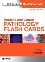 Robbins and Cotran Pathology Flash Cards av Edward C Klatt, Richard N Mitchell