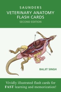 Veterinary Anatomy Flash Cards -