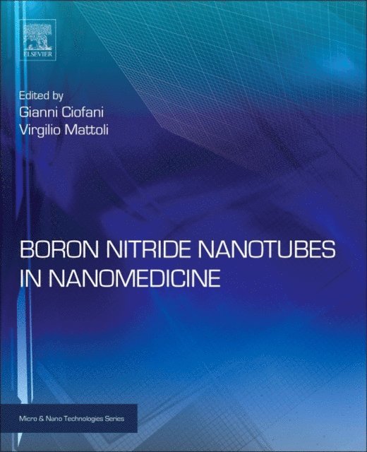 Virgilio MATTOLI, Gianni Ciofani - Boron Nitride Nanotubes in Nanomedicine, E-bok