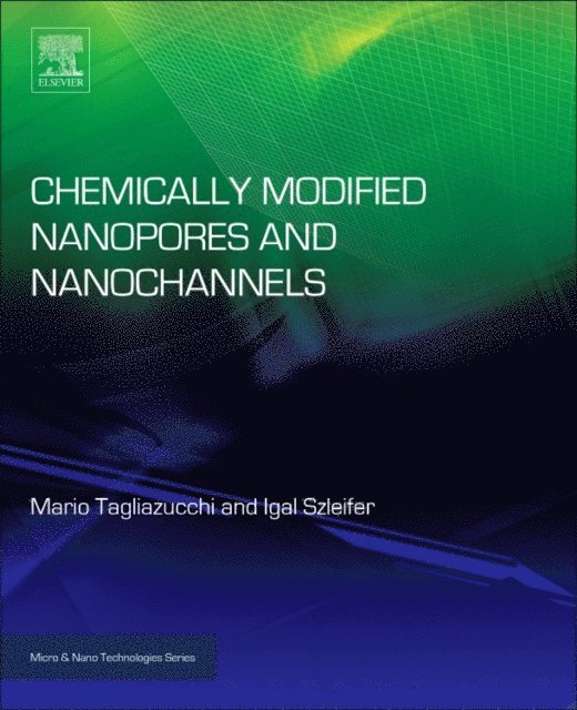 Igal Szleifer, Mario Tagliazucchi - Chemically Modified Nanopores and Nanochannels, E-bok