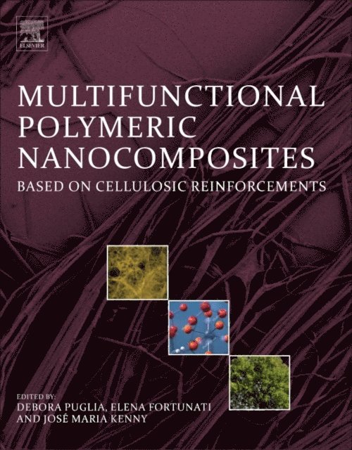 Jose M. Kenny, Elena Fortunati, Debora Puglia - Multifunctional Polymeric Nanocomposites Based on Cellulosic Reinforcements, E-bok