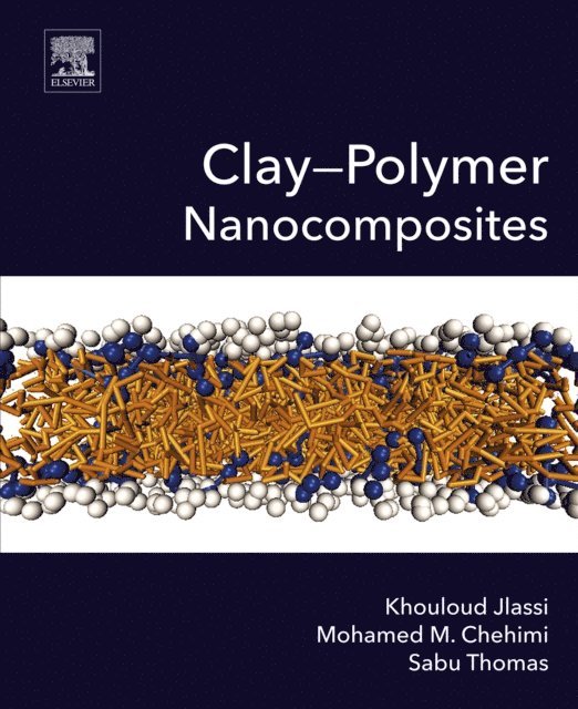 Sabu Thomas, Mohamed M. Chehimi, Khouloud Jlassi - Clay-Polymer Nanocomposites, E-bok
