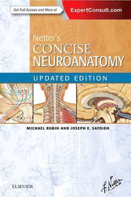 Netter's Concise Neuroanatomy Updated Edition av Michael A Rubin, Joseph E Safdieh