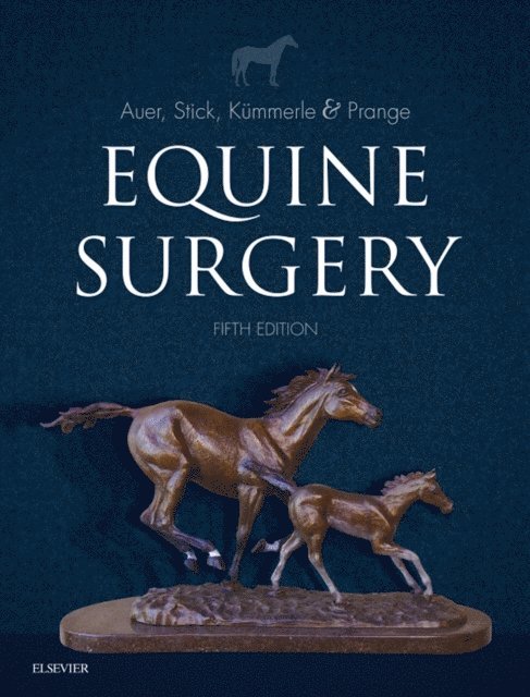 John A. Stick, Jorg A. Auer - Equine Surgery - E-Book, E-bok