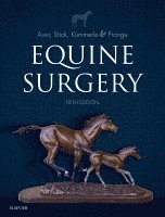 Jorg A. Auer, John A. Stick - Equine Surgery, Inbunden