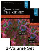Alan S.L. Yu, Glenn M. Chertow, Valerie Luyckx, Philip A. Marsden, Karl Skorecki, Maarten W. Taal - Brenner and Rector's The Kidney, 2-Volume Set, Inbunden