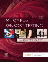 Muscle and Sensory Testing