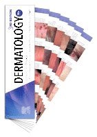 James G. H. Dinulos, M. Shane Chapman, Andrew E. Werchniak, Dorothea T. Barton, Thomas P. Habif - Dermatology DDX Deck, Häftad
