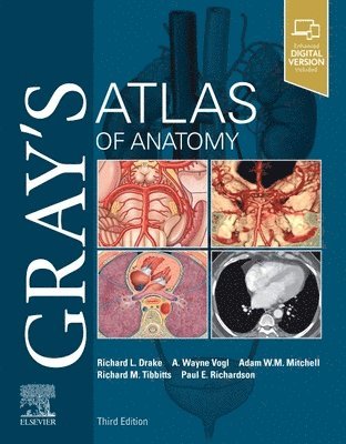 Gray's Atlas of Anatomy av Richard L Drake, A Wayne Vogl, Adam W M Mitchell, Richard Tibbitts, Paul Richardson