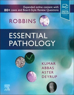 Robbins Essential Pathology av Vinay Kumar, Abul K Abbas, Jon C Aster, Andrea T Deyrup