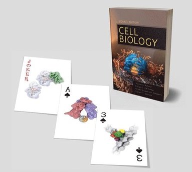 Cell Biology Playing Cards av Thomas D Pollard, William C Earnshaw, Graham Johnson, Jennifer Lippincott-Schwartz, Thomas D Pollard