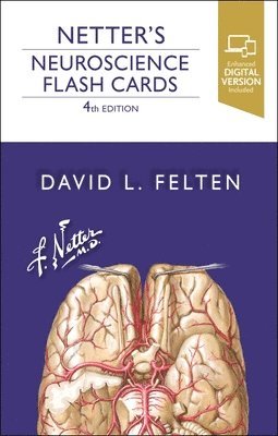 Netter's Neuroscience Flash Cards av David L Felten, David L Felten