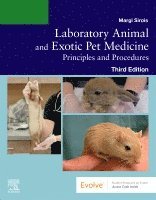 Margi Sirois - Laboratory Animal and Exotic Pet Medicine, Häftad