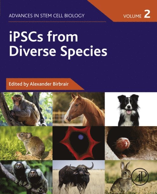 Alexander Birbrair - iPSCs from Diverse Species, E-bok