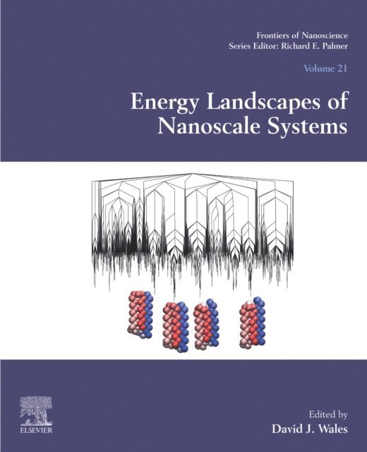 David J. Wales - Energy Landscapes of Nanoscale Systems, E-bok
