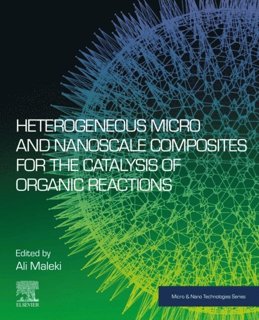 Ali Maleki - Heterogeneous Micro and Nanoscale Composites for the Catalysis of Organic Reactions, E-bok