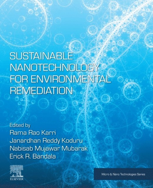 Erick R. Bandala, Nabisab Mujawar Mubarak, Janardhan Reddy Koduru, Rama Rao Karri - Sustainable Nanotechnology for Environmental Remediation, E-bok
