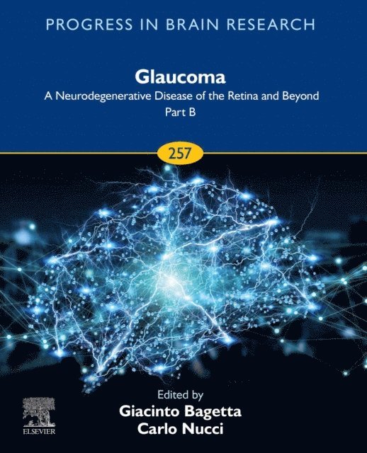 Carlo Nucci, Giacinto Bagetta - Glaucoma: A Neurodegenerative Disease of the Retina and Beyond Part B, E-bok
