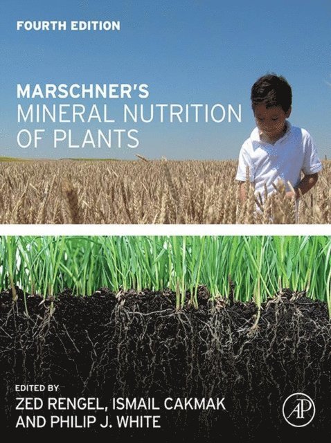 Philip John White, Ismail Cakmak, Zed Rengel - Marschner's Mineral Nutrition of Plants, E-bok