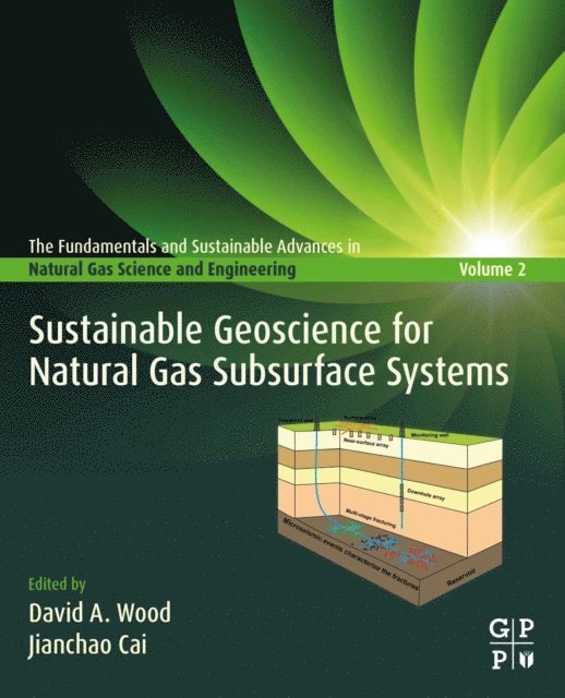 Jianchao Cai, David A. Wood - Sustainable Geoscience for Natural Gas SubSurface Systems, E-bok