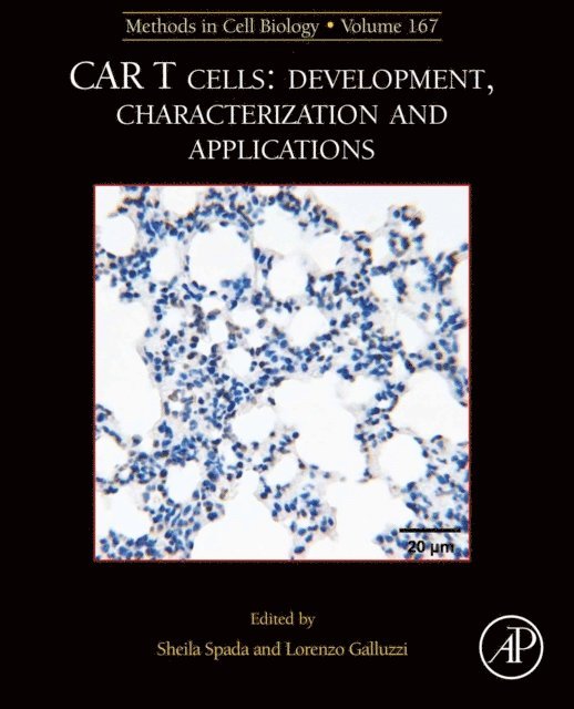 Sheila Spada, Lorenzo Galluzzi - MCB: CAR T Cells: Development, Characterization and Applications, E-bok