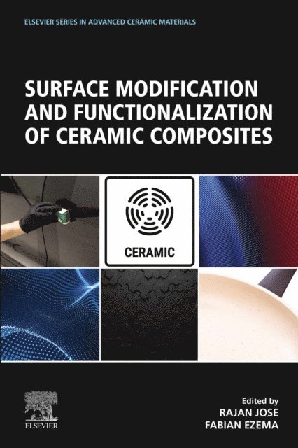 Fabian Ezema, Rajan Jose - Surface Modification and Functionalization of Ceramic Composites, E-bok