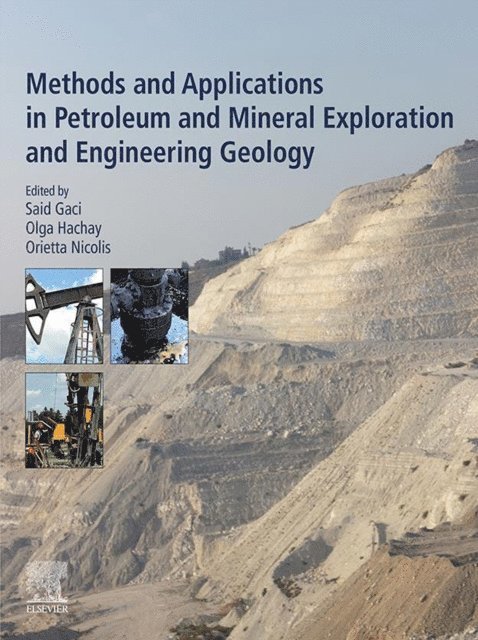 Orietta Nicolis, Olga Hachay, Said Gaci - Methods and Applications in Petroleum and Mineral Exploration and Engineering Geology, E-bok